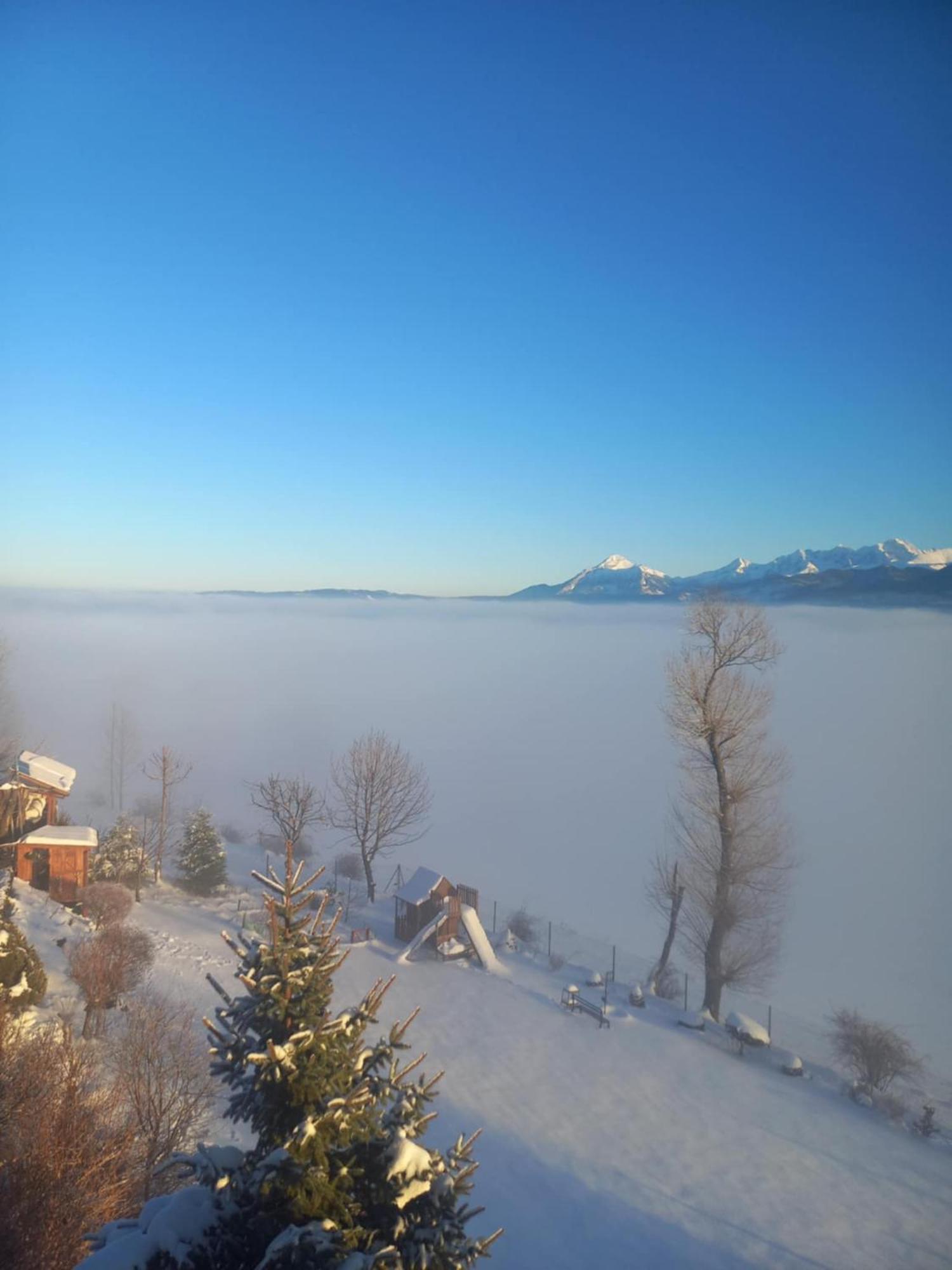 Widokowy Zakatek U Kamila Apartamento Zakopane Exterior foto